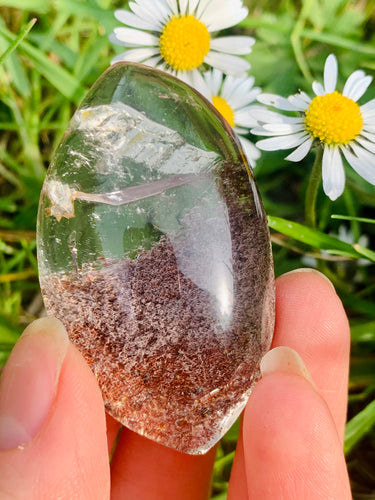 Lodolite Lens Brazil A Grade 01 - Dragon Mama Crystals 
