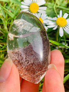 Lodolite Lens Brazil A Grade 01 - Dragon Mama Crystals 