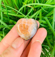 Load image into Gallery viewer, Snakeskin Banded Agate - Dragon Mama Crystals 
