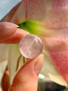 Mini Star Rose Quartz Spheres | A Grade - Dragon Mama Crystals 