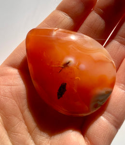 Carnelian PalmStone - Dragon Mama Crystals 