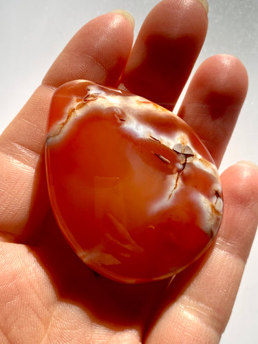 Carnelian PalmStone - Dragon Mama Crystals 