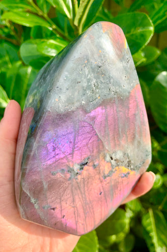 Rare Purple Labradorite Freeform - Dragon Mama Crystals 