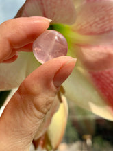 Load image into Gallery viewer, Mini Star Rose Quartz Spheres | A Grade - Dragon Mama Crystals 