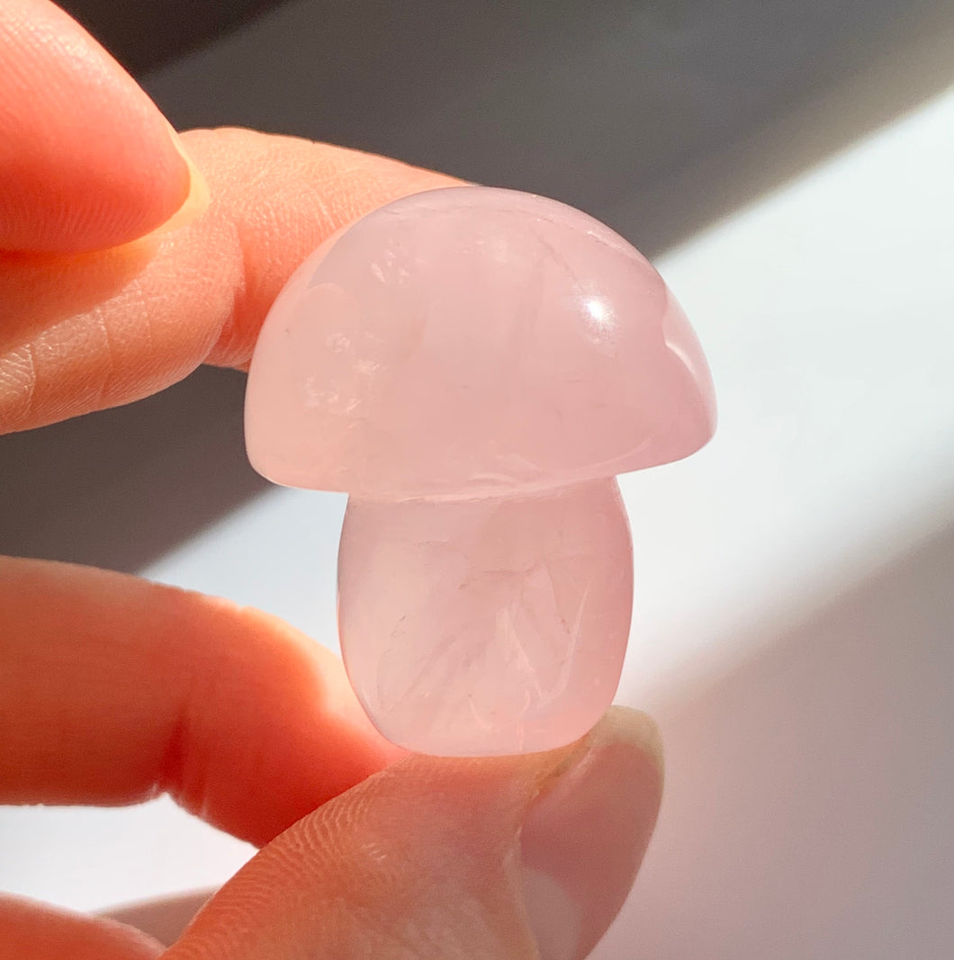 Star Rose Quartz Mushroom - Dragon Mama Crystals 