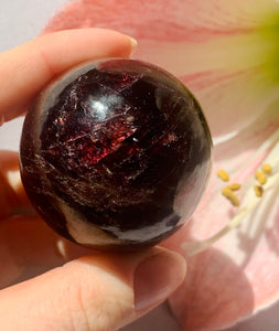 High Grade Star Garnet Sphere 1 - Dragon Mama Crystals 