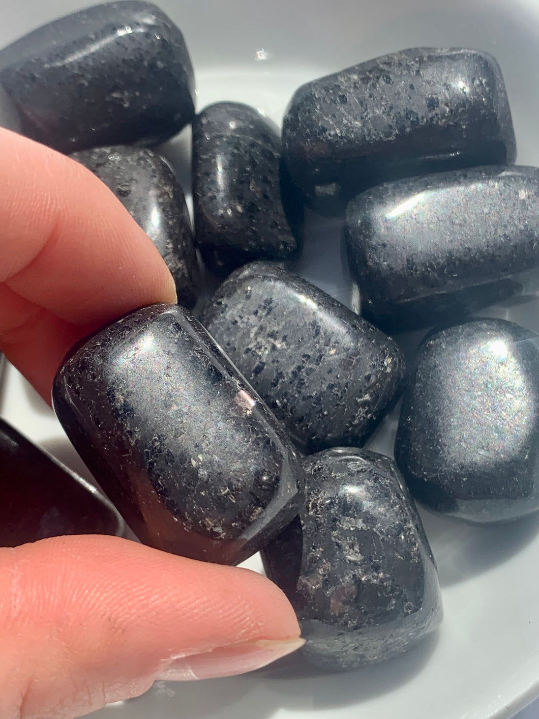 Nummite - Dragon Mama Crystals 