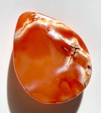 Load image into Gallery viewer, Carnelian PalmStone - Dragon Mama Crystals 