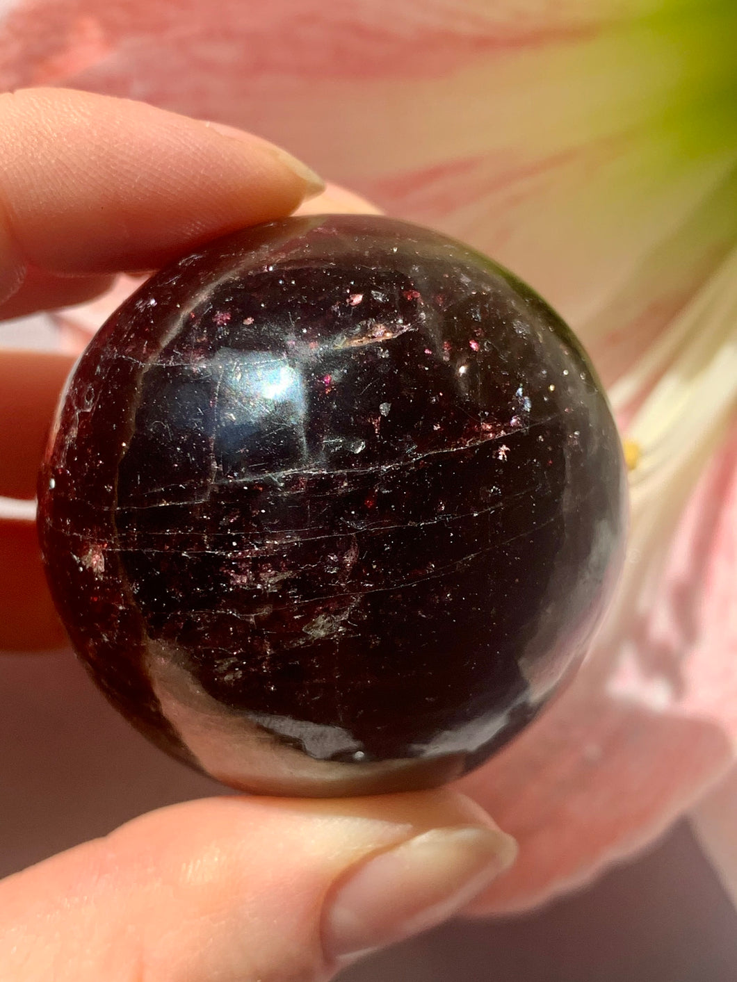 High Grade Star Garnet Sphere 1 - Dragon Mama Crystals 