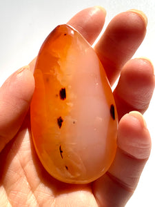 Carnelian PalmStone - Dragon Mama Crystals 