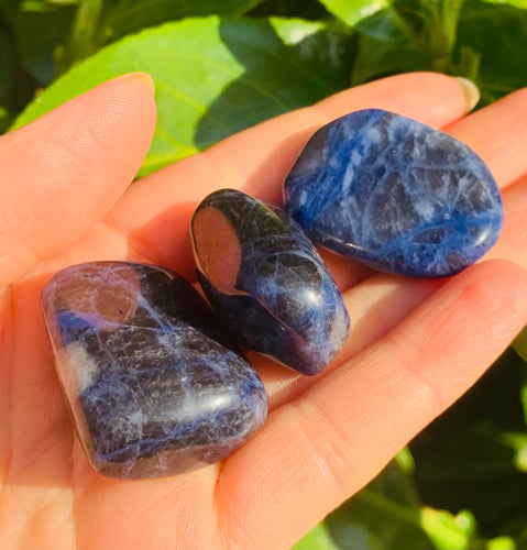 Sodalite Tumbles - Dragon Mama Crystals 