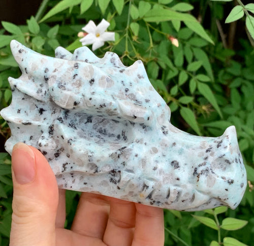 Kiwi Jasper | ‘Heart Chakra’ Dragon - Dragon Mama Crystals 