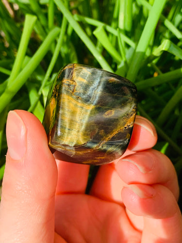 Blue Tigers Eye Tumble Stone Cubes - Dragon Mama Crystals 