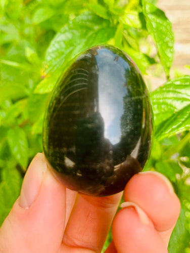 Obsidian Egg - Dragon Mama Crystals 