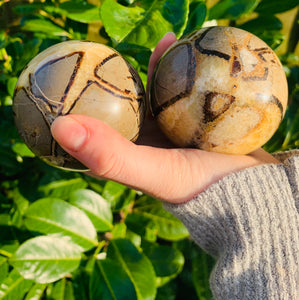 Septerian Spheres Large - Dragon Mama Crystals 