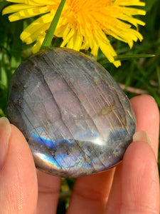 Labradorite Rare Purple Flash PalmStone - Dragon Mama Crystals 