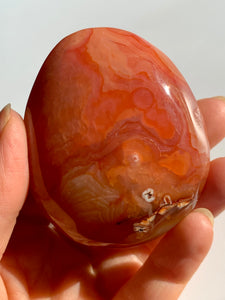 Carnelian PalmStone - Dragon Mama Crystals 