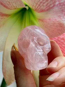 Star Rose Quartz Skull - Dragon Mama Crystals 