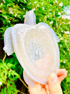 Druzy Agate Crystal Turtle - Dragon Mama Crystals 