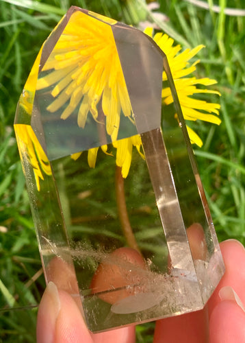 Champagne Citrine Brazilian High Grade - Dragon Mama Crystals 