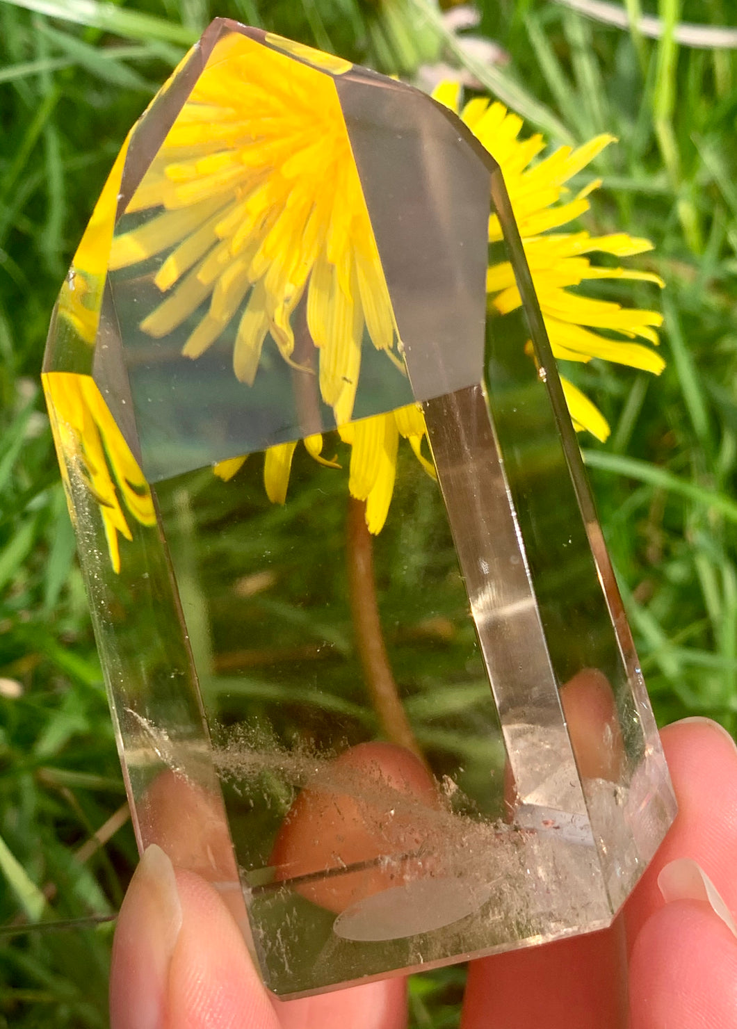 Champagne Citrine Brazilian High Grade - Dragon Mama Crystals 