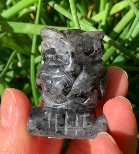 Larvikite Owl - Dragon Mama Crystals 