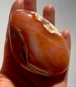 Carnelian PalmStone - Dragon Mama Crystals 