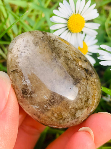 Lodolite Lens Brazil 08 - Dragon Mama Crystals 