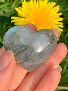 Labradorite Heart 07 - Dragon Mama Crystals 