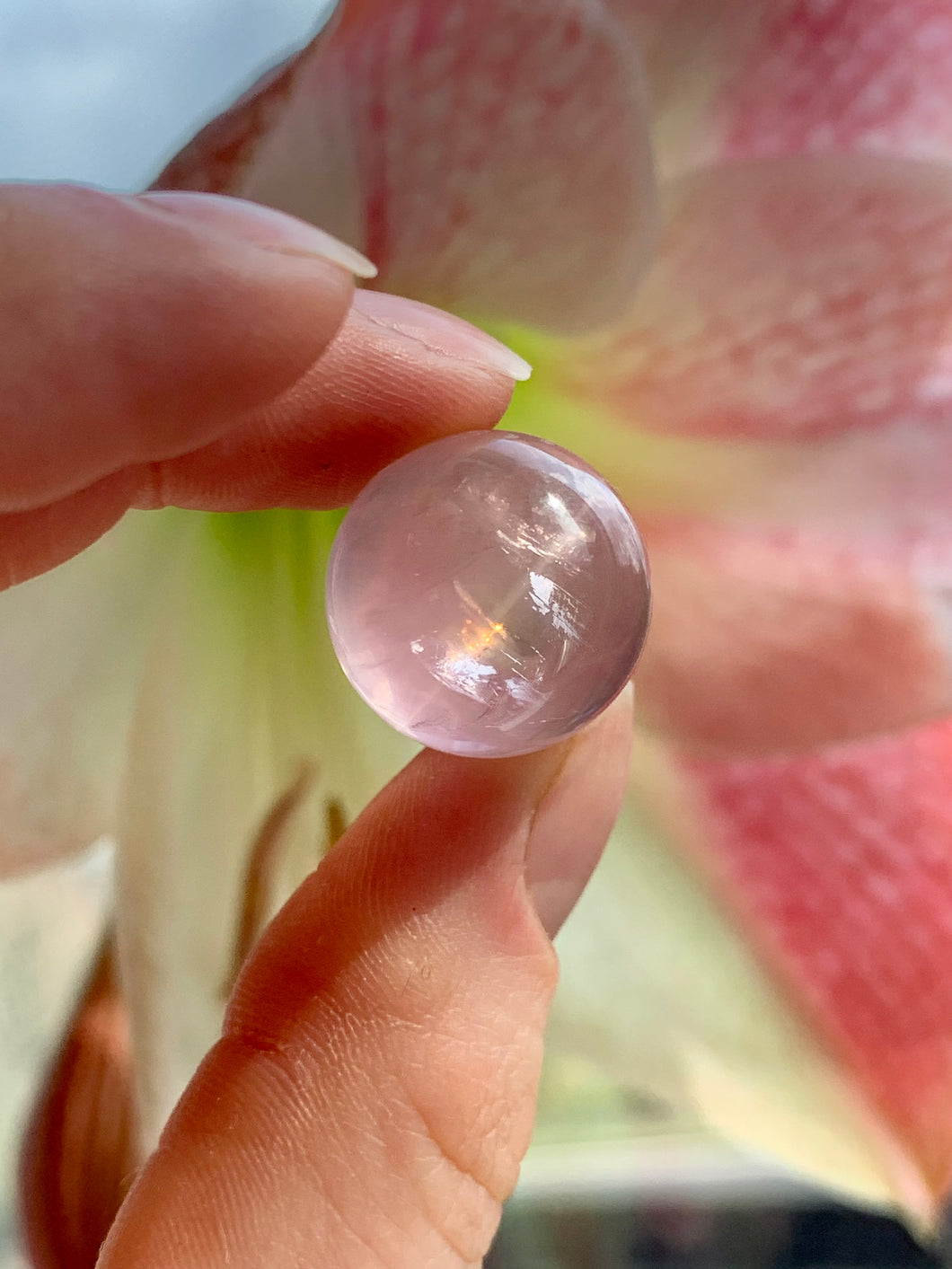 Mini Star Rose Quartz Spheres | A Grade - Dragon Mama Crystals 