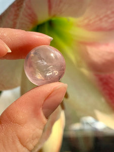 Mini Star Rose Quartz Spheres | A Grade - Dragon Mama Crystals 