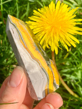 Load image into Gallery viewer, Bumble Bee Jasper Tower - Dragon Mama Crystals 