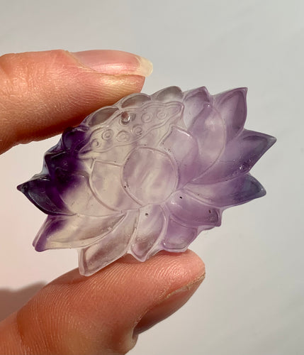 Fluorite Lotus - Dragon Mama Crystals 