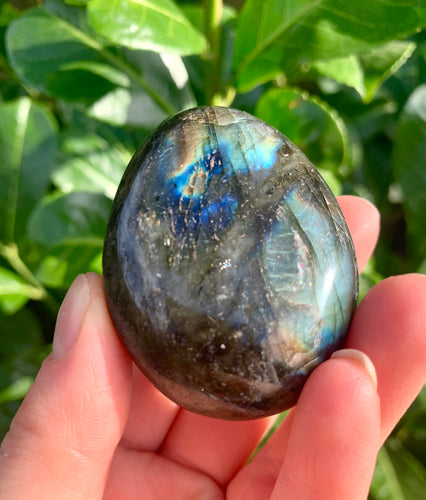 Labradorite Palm Stones B Grade - Dragon Mama Crystals 