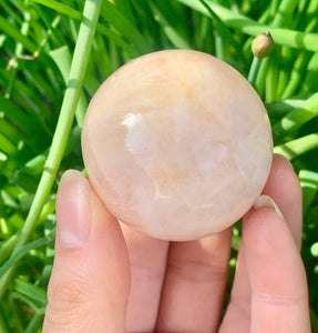 Morganite Peach Rare Sphere - Dragon Mama Crystals 