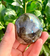 Load image into Gallery viewer, Labradorite Palm Stones B Grade - Dragon Mama Crystals 