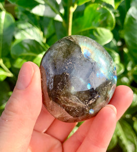 Labradorite Palm Stones B Grade - Dragon Mama Crystals 