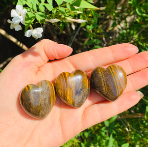 Tigers Eye Crystal Heart - Dragon Mama Crystals 