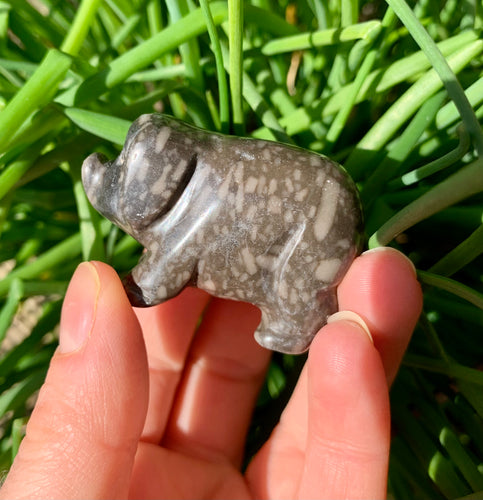 Jasper Pig - Dragon Mama Crystals 