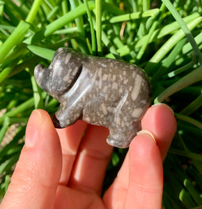 Jasper Pig - Dragon Mama Crystals 