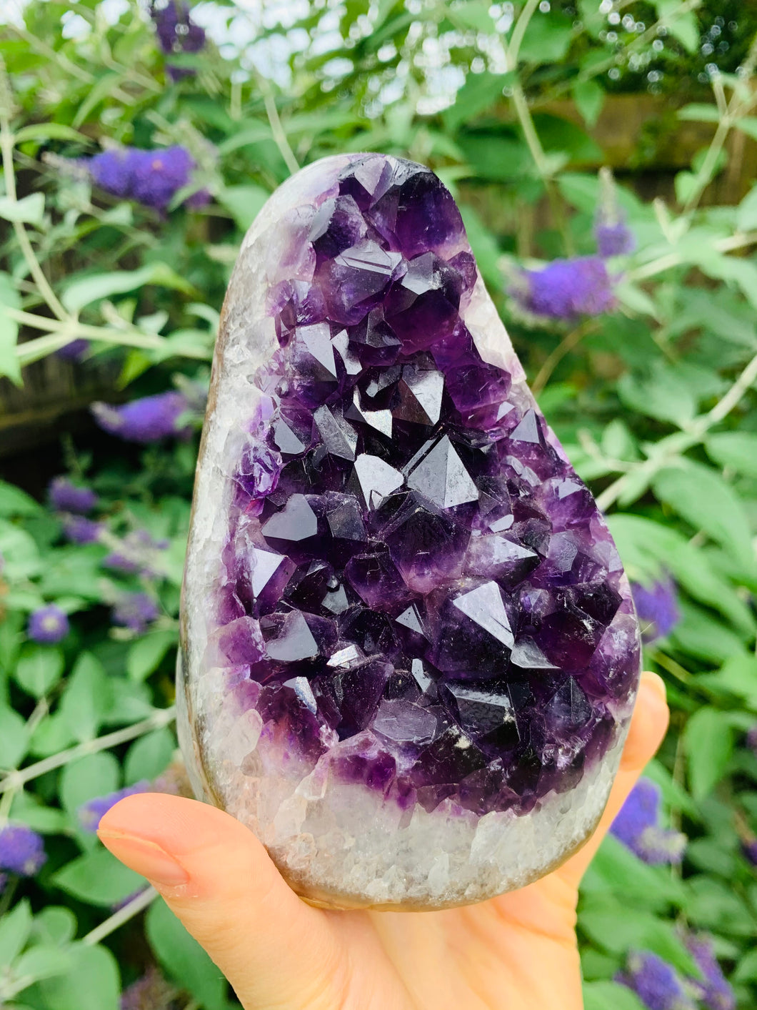 Amethyst Freeform Large - Dragon Mama Crystals 