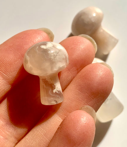 Flower Agate Mushroom - Dragon Mama Crystals 