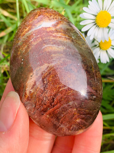 Lodolite Lens Brazil 09 - Dragon Mama Crystals 