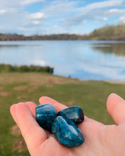 Load image into Gallery viewer, Blue Apatite Tumbles - Dragon Mama Crystals 