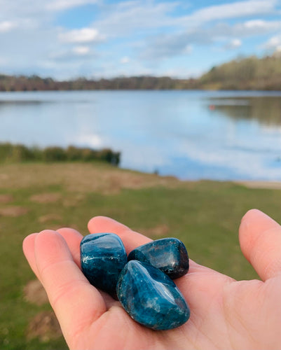 Blue Apatite Tumbles - Dragon Mama Crystals 