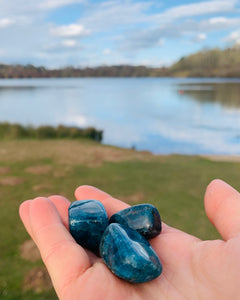 Blue Apatite Tumbles - Dragon Mama Crystals 