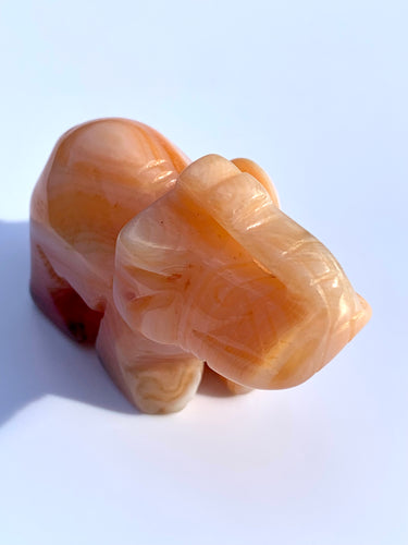 Carnelian Elephant - Dragon Mama Crystals 