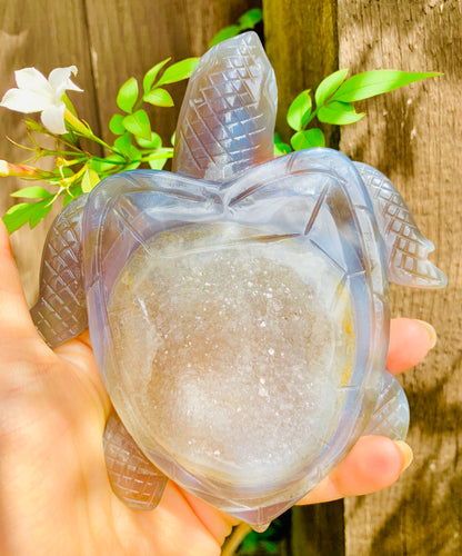 Crystal Agate Druzy Turtles - Dragon Mama Crystals 