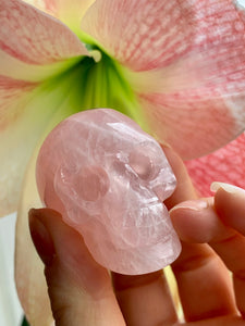 Star Rose Quartz Skull - Dragon Mama Crystals 