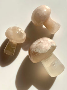 Flower Agate Mushroom - Dragon Mama Crystals 